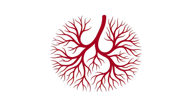 Abstract Red Branching Network on White Background - Medical, Biology Concept