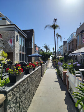 Sunny pathway leads to the Pacific Beach in San Diego California with beautiful houses and green plants on both sides, backlit shot