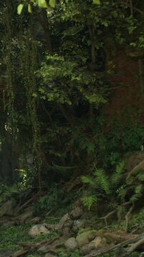 A dense collection of green plants and trees fills the forest scene. Sunlight filters through the leaves, casting shadows on the ground. The area is rich in textures and colors.