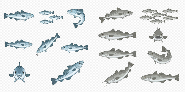 Set of various cod fish illustrations in different poses and angles, including a school of fish.