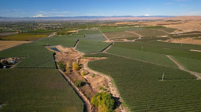 Aerial view of agricultural fields and orchards in Yakima Valley, Washington