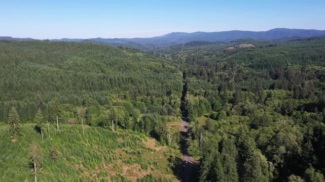 4K aerial drone footage of dense evergreen forests near Saddle Mountain in Oregon, USA. Scenic Pacific Northwest woodland landscape with rolling hills, wilderness and rich natural vegetation