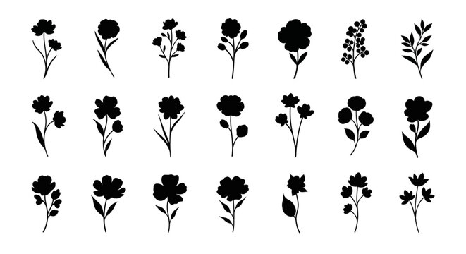 Minimalist solid white background texture for graphic design, web background, or digital canvas. High-key blank space for copy and text placement. Clean simple studio backdrop.
