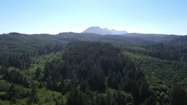 4K aerial drone footage of dense evergreen forests near Saddle Mountain in Oregon, USA. Scenic Pacific Northwest woodland landscape with rolling hills, wilderness and rich natural vegetation
