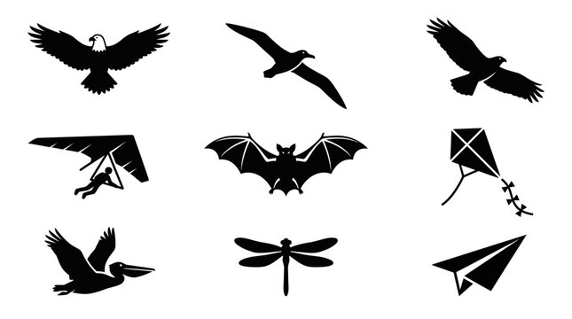 Silhouettes of flying animals and kites.