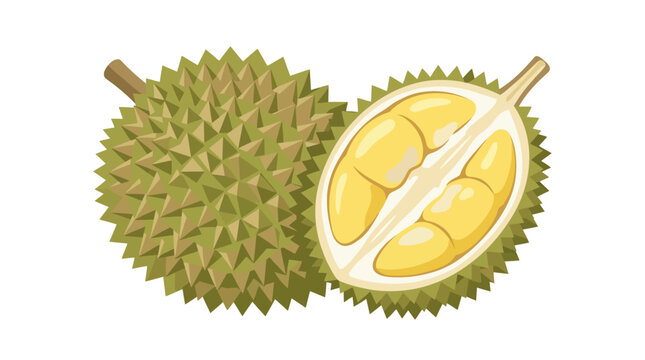 Whole and opened durian fruit showing creamy yellow flesh and thorny outer husk