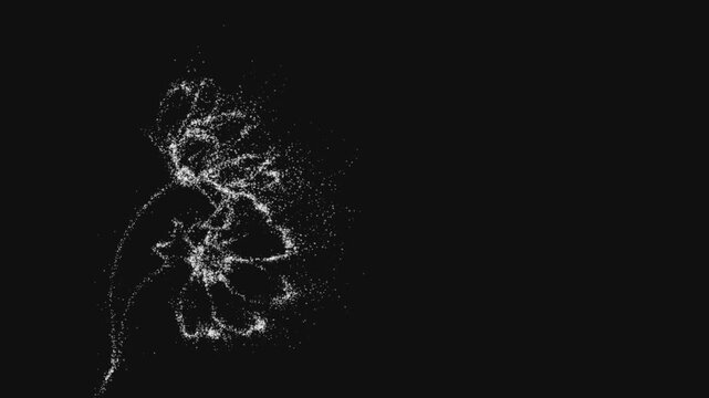 abstract white flower silhouette forming and wind dissolving from glowing particles on black background for elegant nature wellness romance and luxury beauty motion graphics