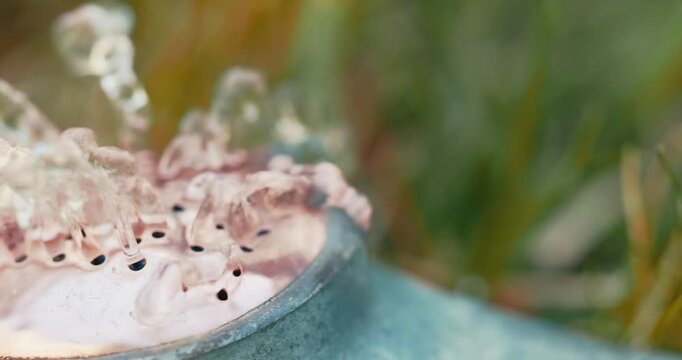 Close up of water dribbling out of a lawn sprinkler 