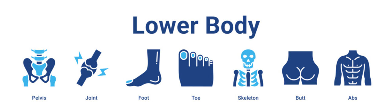 Lower Body web banner icon vector illustration concept for medical with icon of Pelvis, Joint, Foot, Toe, Skeleton.