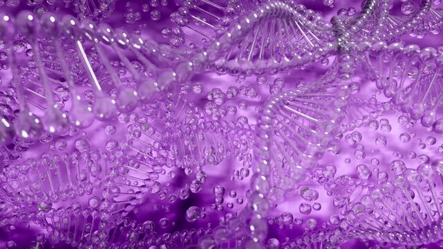 Background of spinning glossy DNA spirals in a lilac hue. 3d animation on lilac blurred background with dolly zoom effect