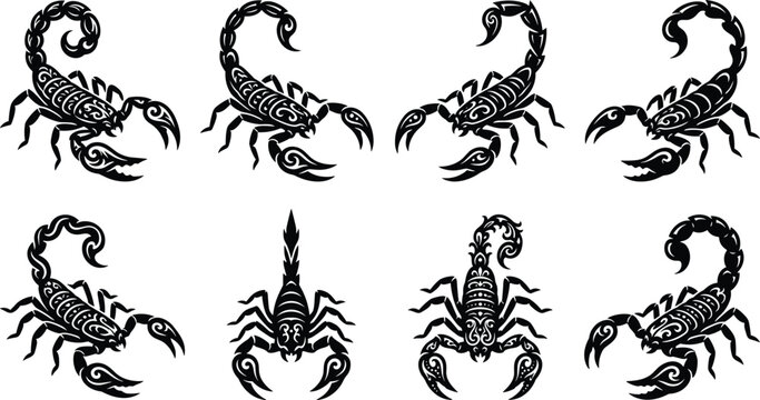 Black Tribal Scorpion Silhouette Vector Set with Intricate Ornamental Details for Tattoos and Graphic Design