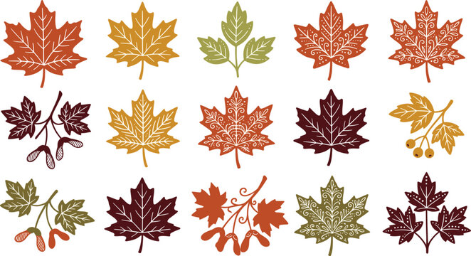 Autumn maple leaves vector icon set, decorative line art fall foliage collections and samaras.