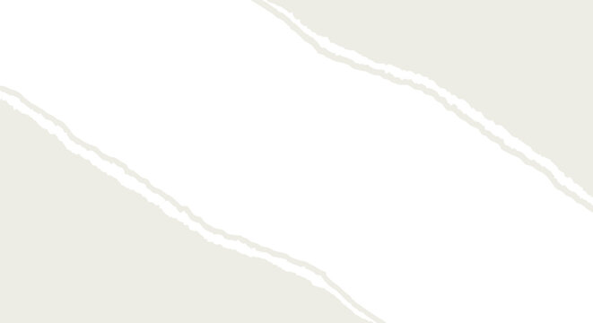 Minimalist plain white solid background texture for graphic design projects, clean blank square canvas with no patterns or shadows for use as a mockup base or website backdrop.