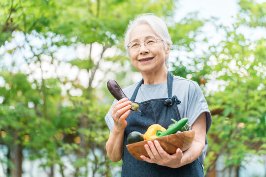 A senior woman with gray hair enjoys gardening in her backyard.