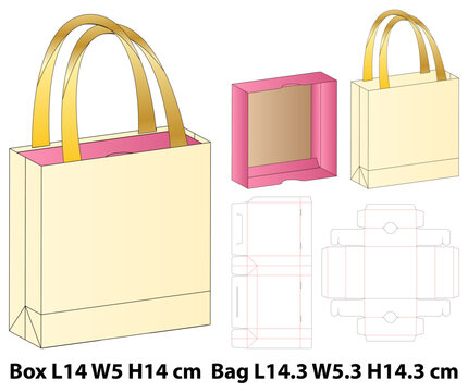 Retail Shopping Bag With Inner Box Template