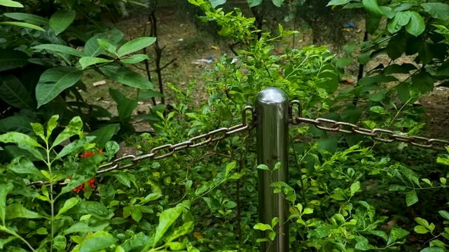 Stainless steel bollard post with chain link barrier in lush green garden setting