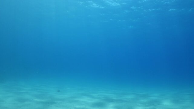 sun beams sun rays sun shine underwater nice light slow moving at the sandy bottom reflections relaxing ocean scenery 