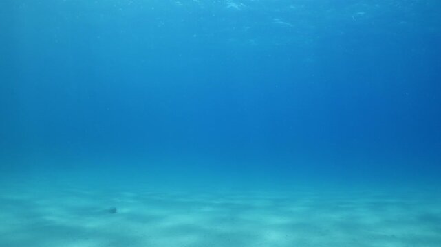 sun beams sun rays sun shine underwater nice light slow moving at the sandy bottom reflections relaxing ocean scenery 