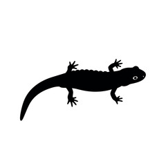 Black silhouette of a lizard creature. © Romlah