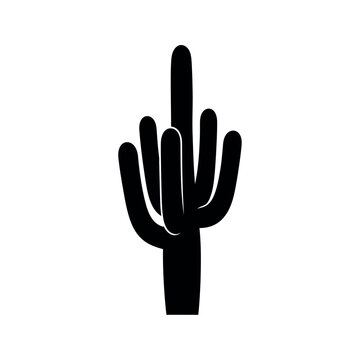 Black silhouette of a cactus.