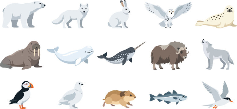 Flat vector illustration set showcasing various arctic animals including polar bear fox rabbit owl seal walrus whale and wolf