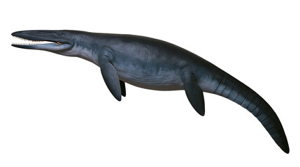 Ancient marine reptile mosasaurus with sharp teeth, isolated on transparent background © Timo