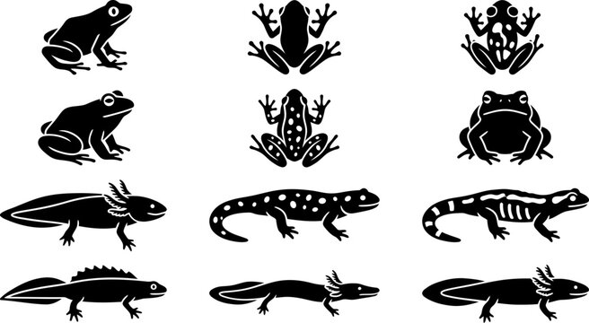 Set of black silhouettes of frogs and salamanders on white background.