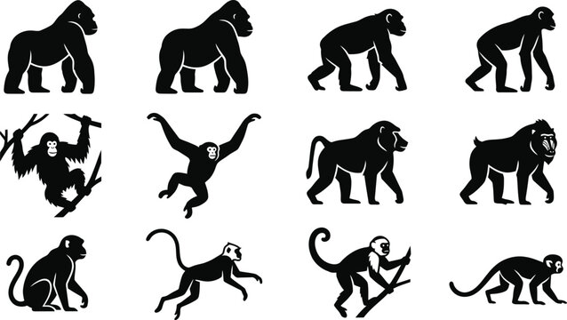 Set of black silhouette illustrations of various primates and monkeys.