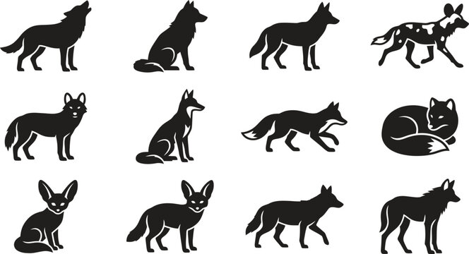 Set of vector silhouettes of wild canids like wolves foxes and jackals.