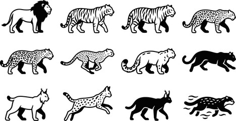 Set of wild cats and predatory animals in black and white illustration. © Inova