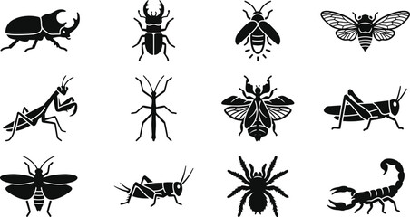 Set of various insect and arachnid icons in black and white silhouette style. © nami8
