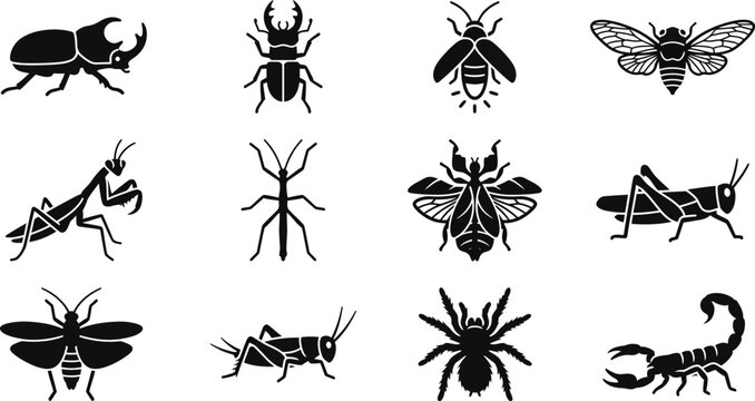 Set of various insect and arachnid icons in black and white silhouette style.