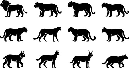 Collection of black silhouette wild cat species set. © Ternak