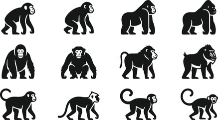 Set of black and white silhouette monkey and primate icons. © Ternak
