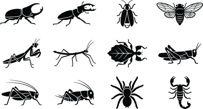 Set of Various Insect Silhouettes and Arthropods Icons.