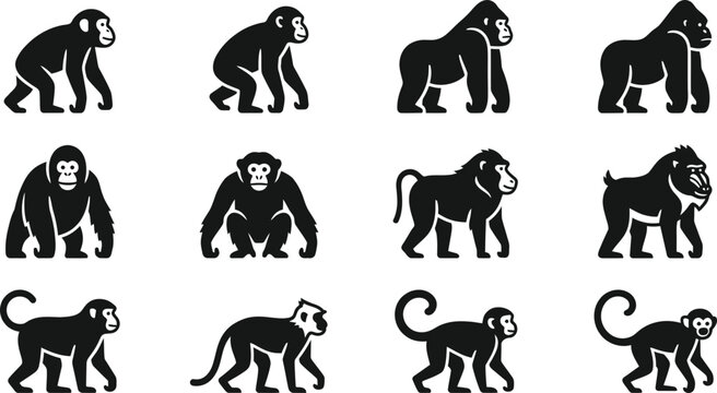Set of black and white silhouette monkey and primate icons.