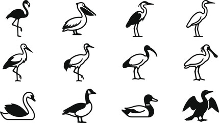 Collection of various water bird silhouettes and icons. © Ternak