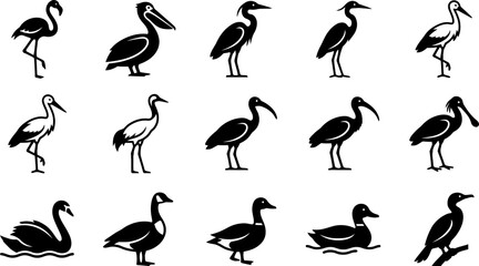 Collection of various water bird silhouettes and icons. © Hyiu