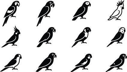 Collection of various parrot species icons in black and white silhouette style. © Hyiu