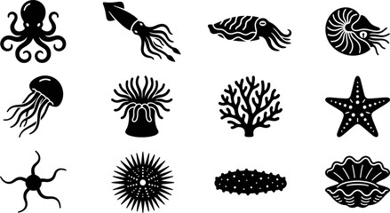 Set of monochrome black and white marine life and sea creature icons. © Hyiu