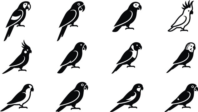 Collection of various parrot species icons in black and white silhouette style.
