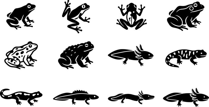 Collection of black and white amphibian and reptile silhouettes.