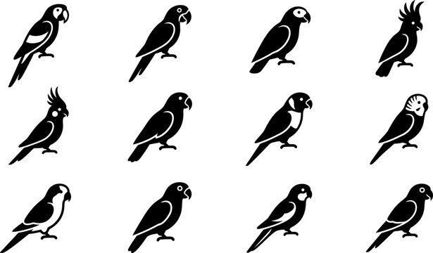 Set of black and white parrot icons representing various bird species.