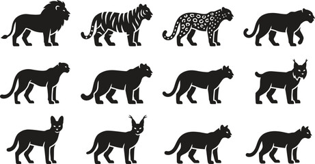 Set of silhouettes of various wild big cats in profile view. © Pionn