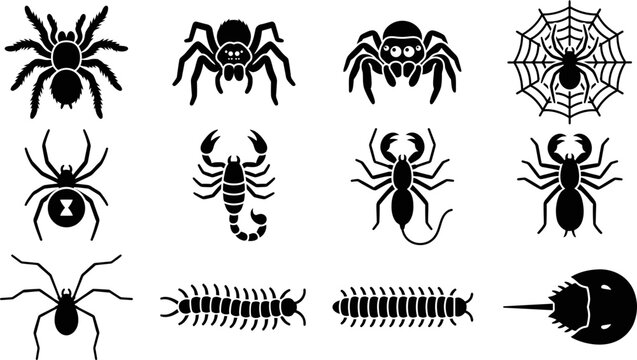 Set of black spider and arachnid silhouette icons.