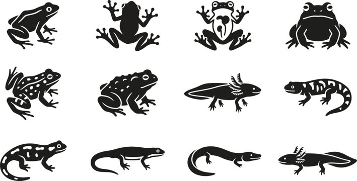Collection of various amphibians and reptiles silhouettes.