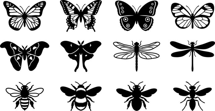 Collection of hand drawn insect silhouettes featuring butterflies dragonflies and bees.