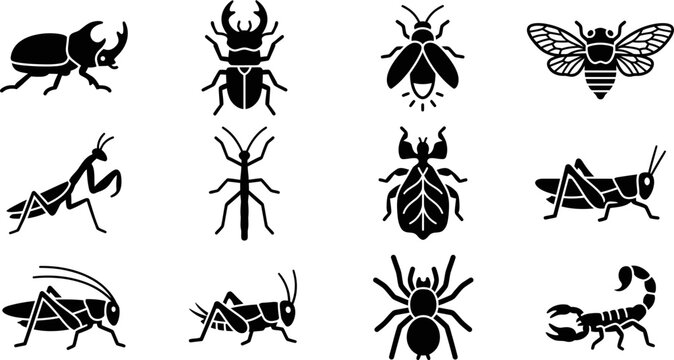 Collection of various insect and arachnid icons in flat black style.