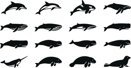 Collection of various marine mammal silhouettes including whales dolphins and seals. © Pionn