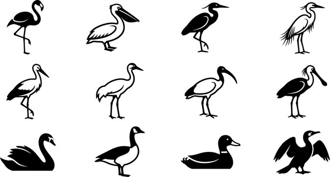 Set of black and white silhouettes of various water birds and wildfowl.